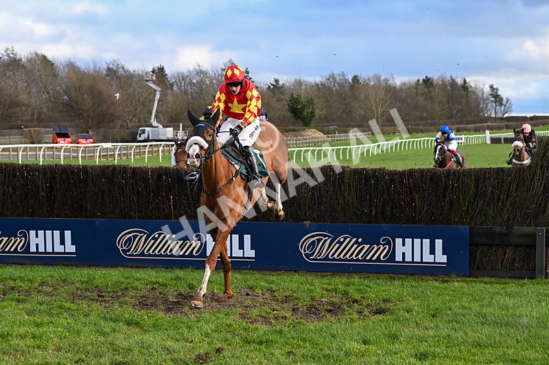 020224-Race 4-Treaty Boy-8338 - Race 4