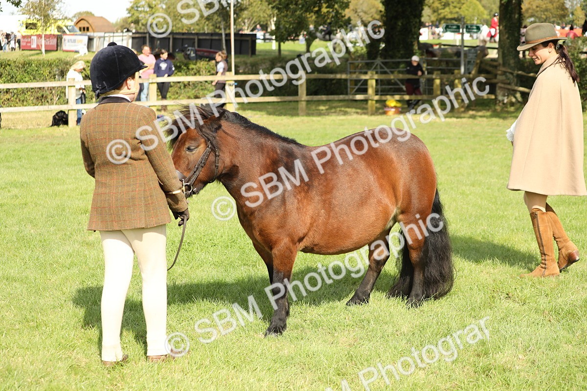 SBM_68612 - S40 - Junior Handler 9-12 Years