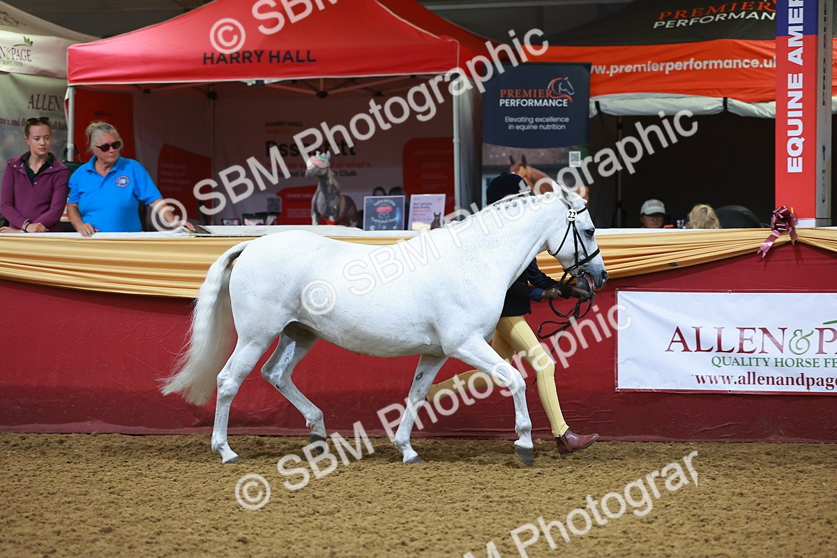 SBM_14698 - Class B - Junior Champ 11 to 16 Years