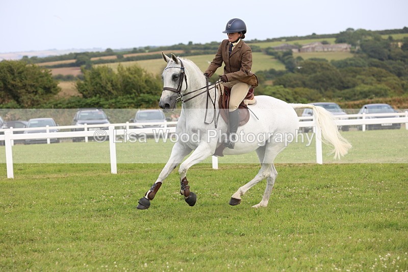 JPP_4159 - Class 25: Working Show Horse