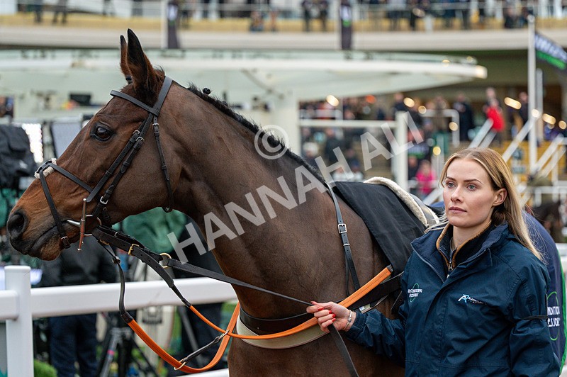 161125-Race 5-Welsh Charger-1707 - Race 5