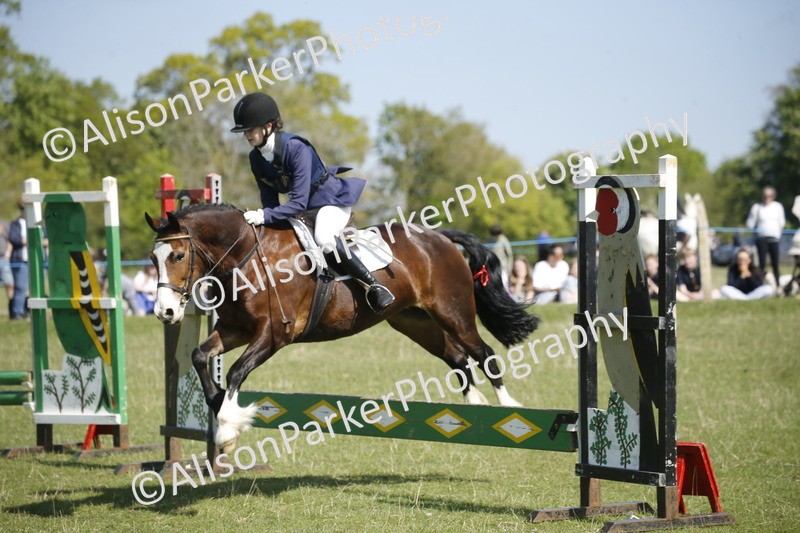 20250427-2138 - Class 13 - Novice Jumping 60cm