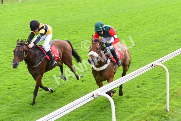 yr04092022p1-60 - 12.30pm 148cm Conditions Pony Race