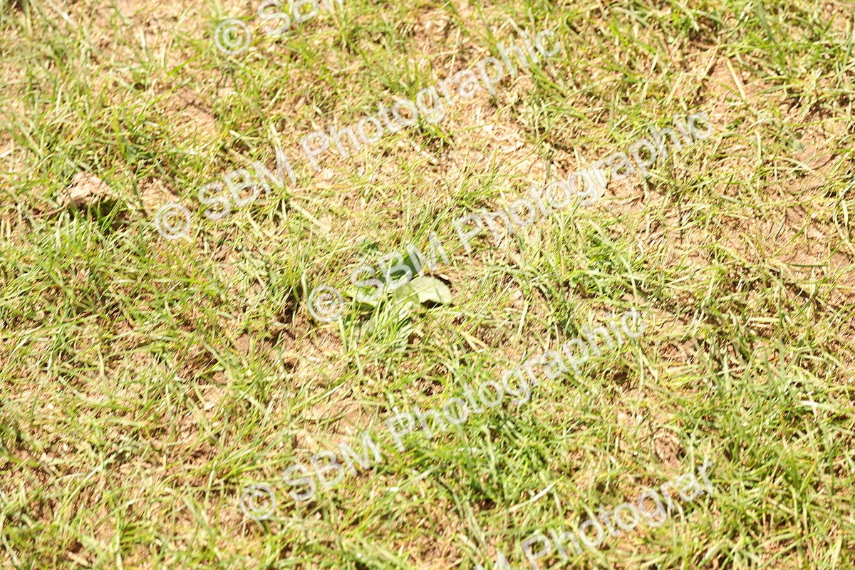 SBM_10882 - Presentations