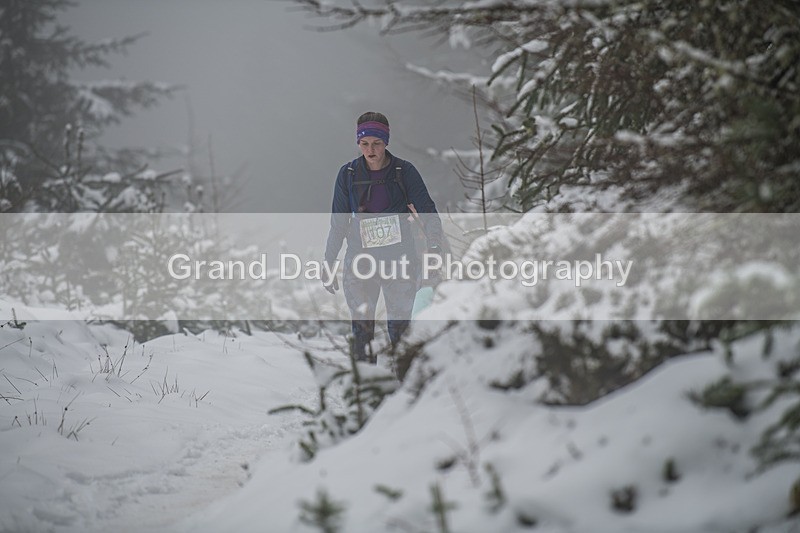Glentress-1333 - High Terrain Events Glentress 42, 21 & 10K Trail Races Sunday 15th February 2026