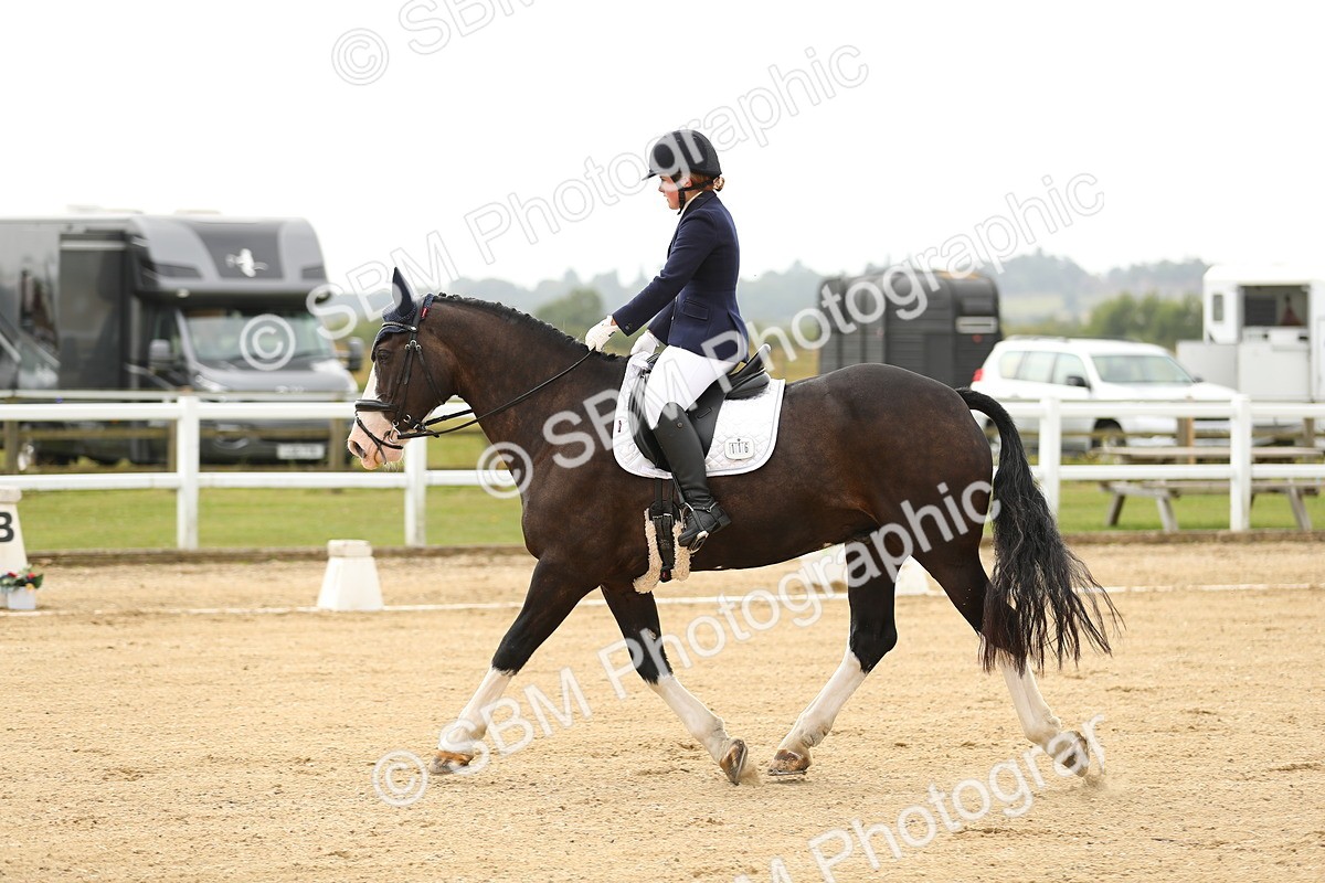 SBM_017245 - Class 13 - Novice 23 - 13.31-14.13