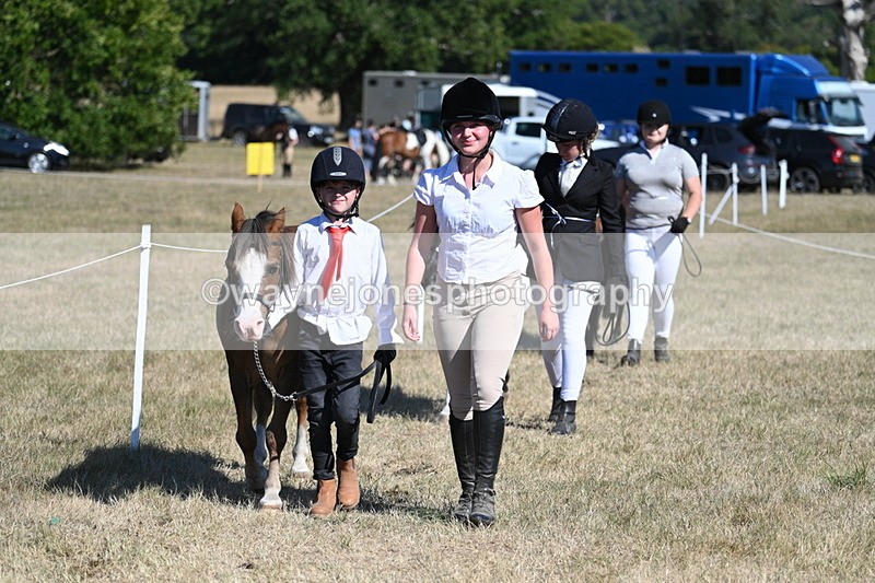 WJ7_1846 - Class 43 Best Six Legs (In hand)