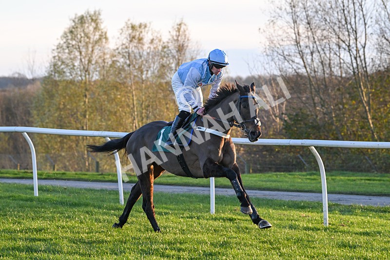 221124-Race 6-Presentandcounting-5333 - Race 6