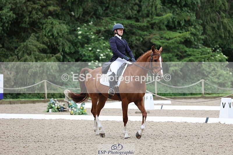 240524-090155-07039 - 251-MILESTONE_GOLD-Gaby_Bull