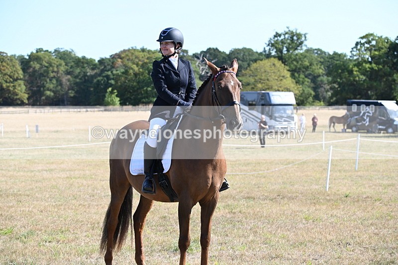 WJ6_7295 - Class 33 Rescue Pony