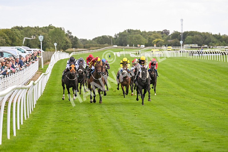 100924-Race 2-Keldeo-9985 - Race 2