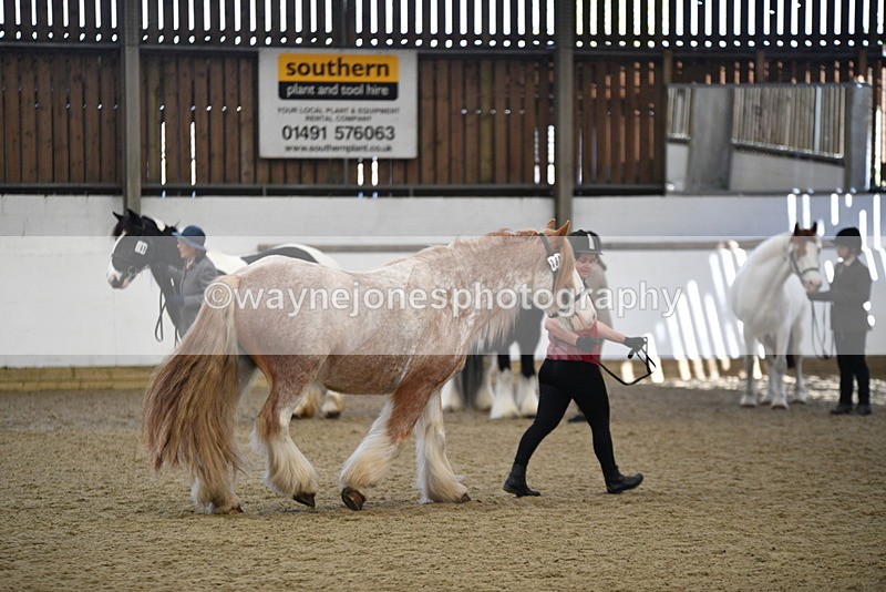 WJ5_4756 - Class 7 In hand coloured / odd coloured