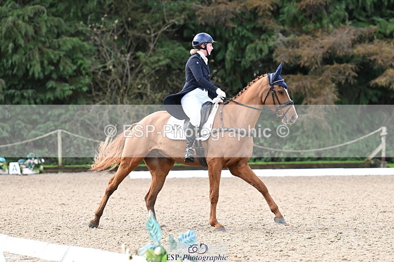 251023A-101753-01482 - B-128-Holly.Law