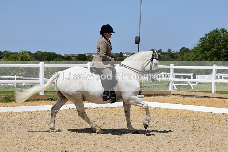 1X9A1736 - Class 11: Ridden Cob