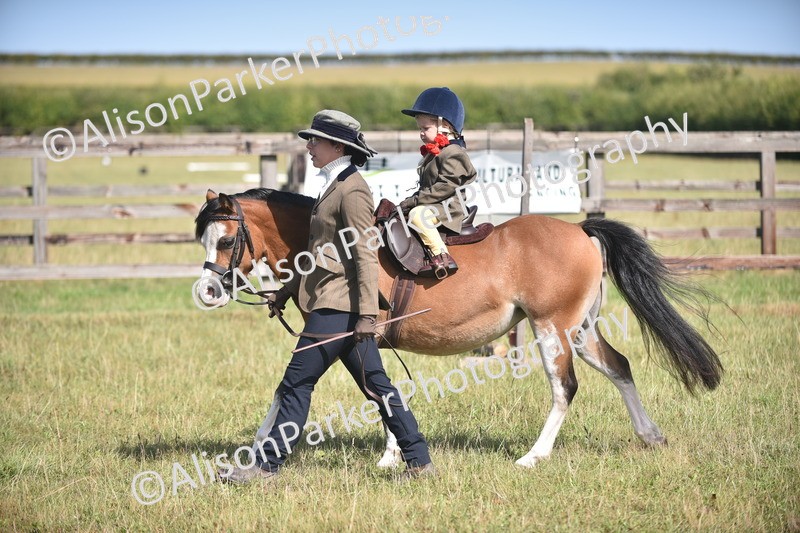 20260906-1765 - Class 11 - 13hh and Under