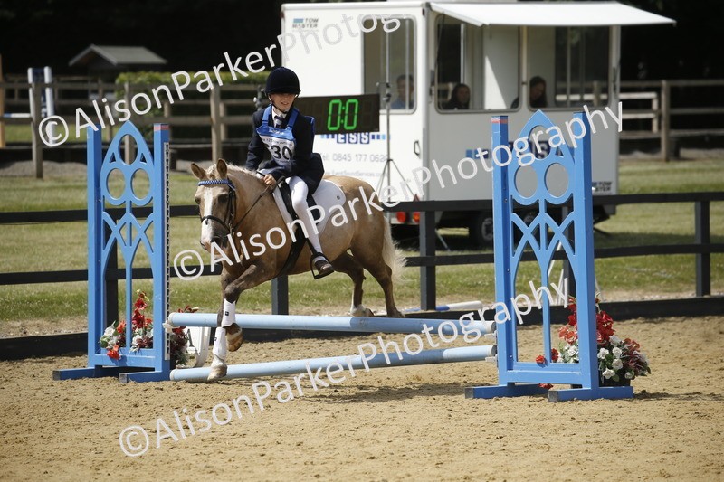 20250622-3934 - 50cm