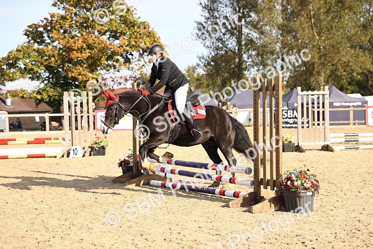 SBM_59661 - J11 - Junior Pony 50cm Championship