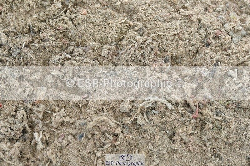 230721A-142649-06918 - Cls 22, 1 Star Gold 1.30m