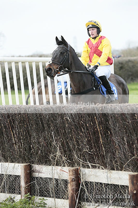 PtP 230319 212 - VWH Hunt Siddington Point-to-Point Racing 23/03/19