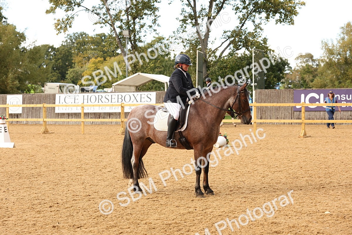 SBM_10667 - D9 - Small Tour Championship Prelim 3
