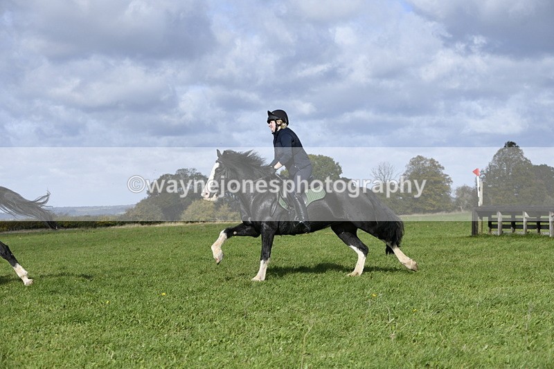 _DSC6991 - Time 12:05 to 12:53