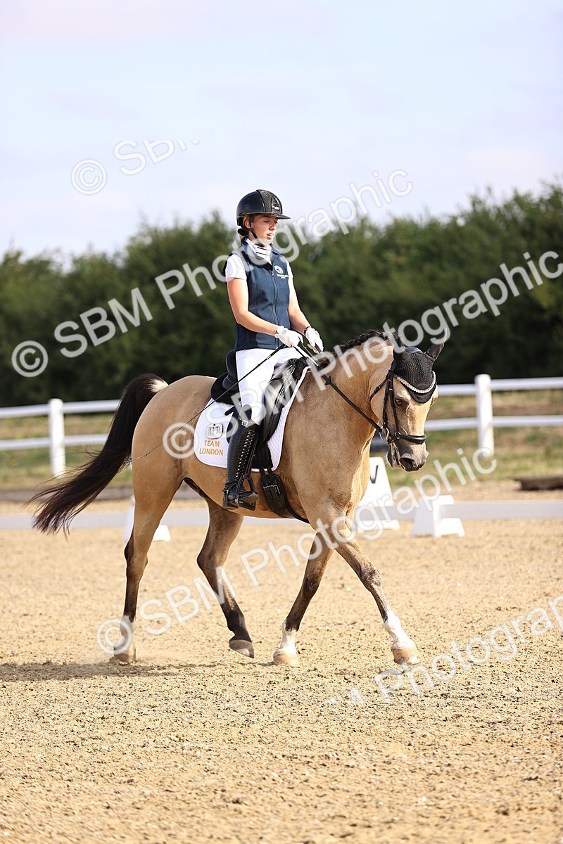 SBM_008529 - Novice 5 - 08.30-9.33