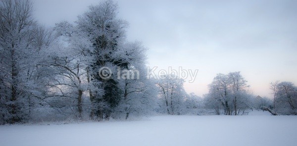  - Landscapes