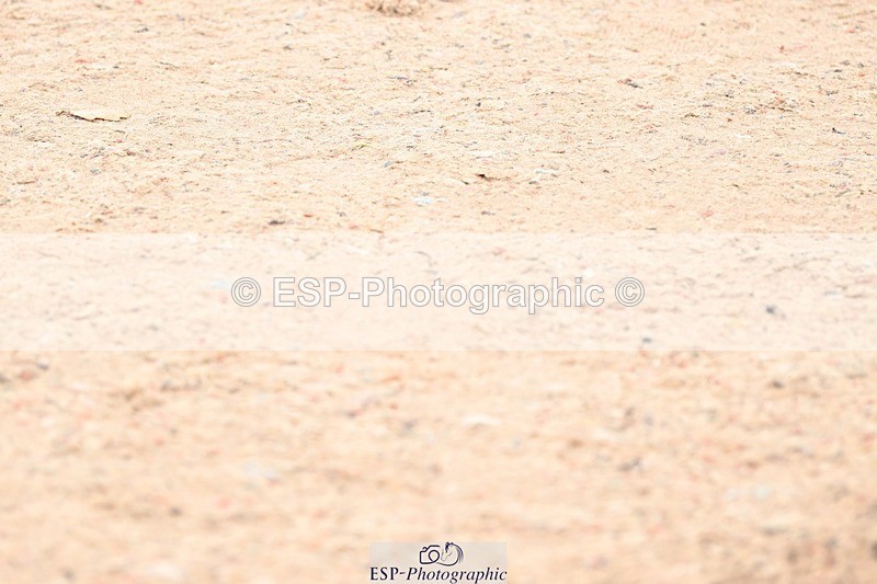 250717-103706-03082 - Cls 29, 6 Year Old