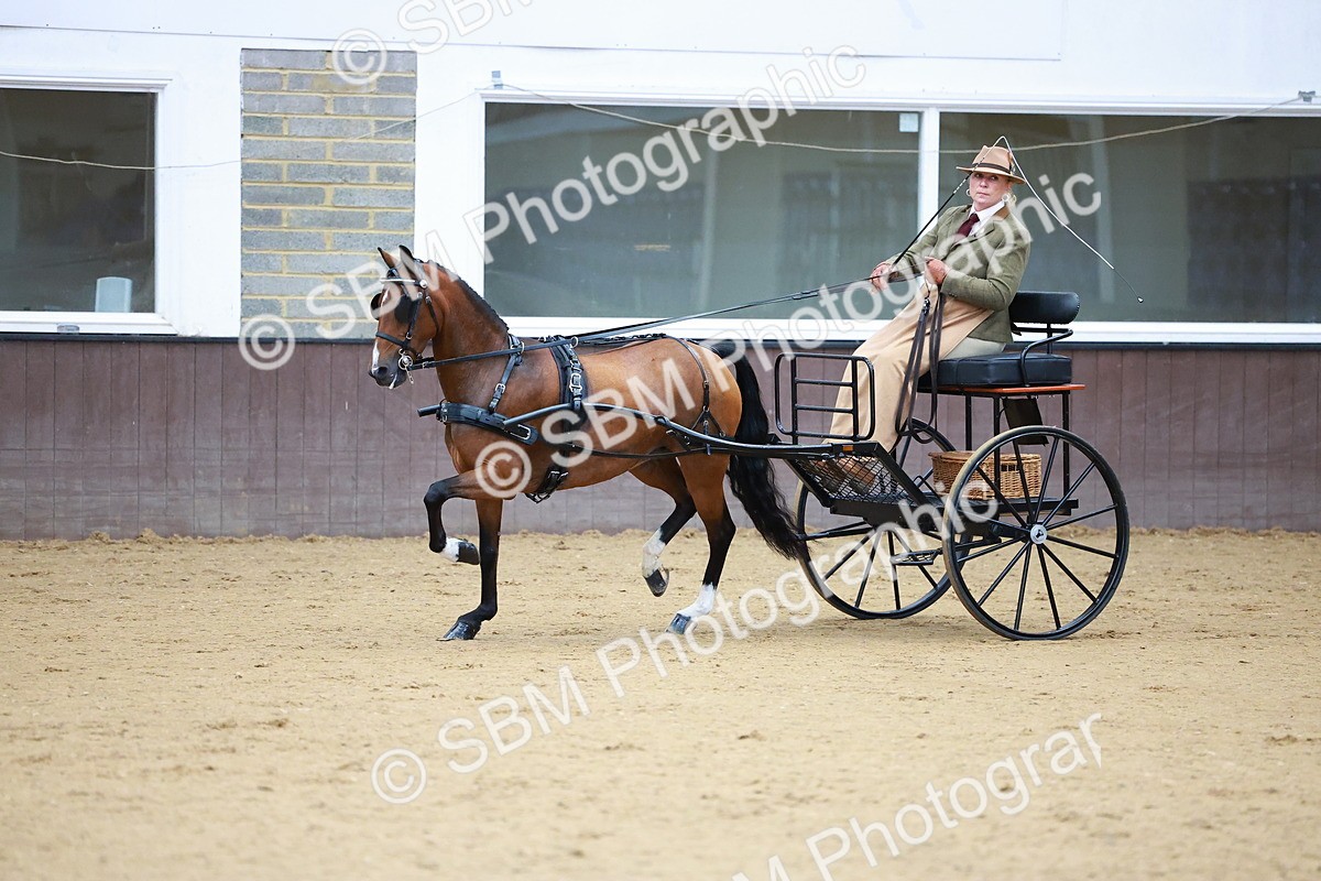 SBM_000128 - Class 3 - Alison Thomas Memorial Lady Whip