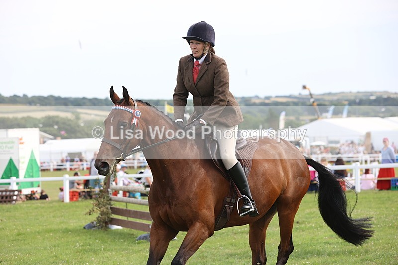 JPP_4188 - Class 25: Working Show Horse