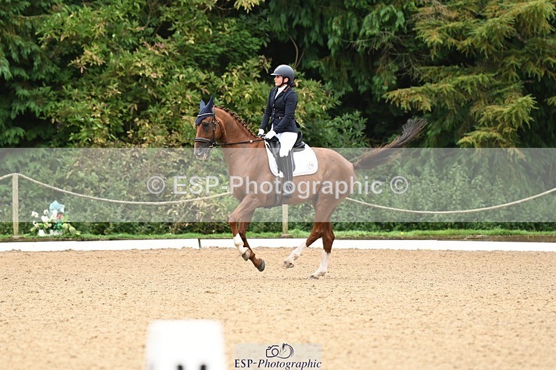 240811-102218-04994 - 110-Helen.Kitto-Da.Vinci.IV