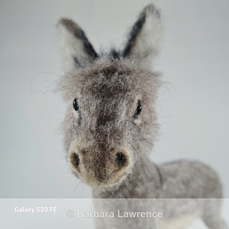 Little Grey Donkey. Photo 3. - Shop