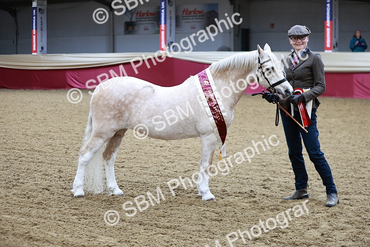 SBM_00353 - Class 1A - Area IH Diamond