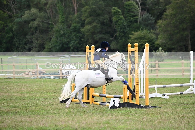 WJ6_0380 - 40cm Time 10:29 to 10:52