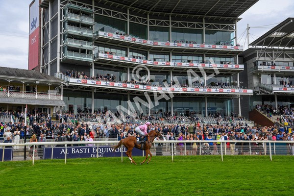 250823-Race 4-Live In The Dream-0628 - Race 4 3.35pm Coolmore Wootton Bassett Nunthorpe Stakes