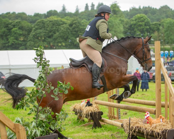 Dunblane show-298 - Dunblane and Doune Show Ring 1