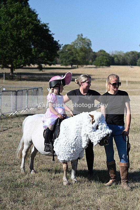 WJ7_2716 - Class 45 Fancy Dress (My Fav)