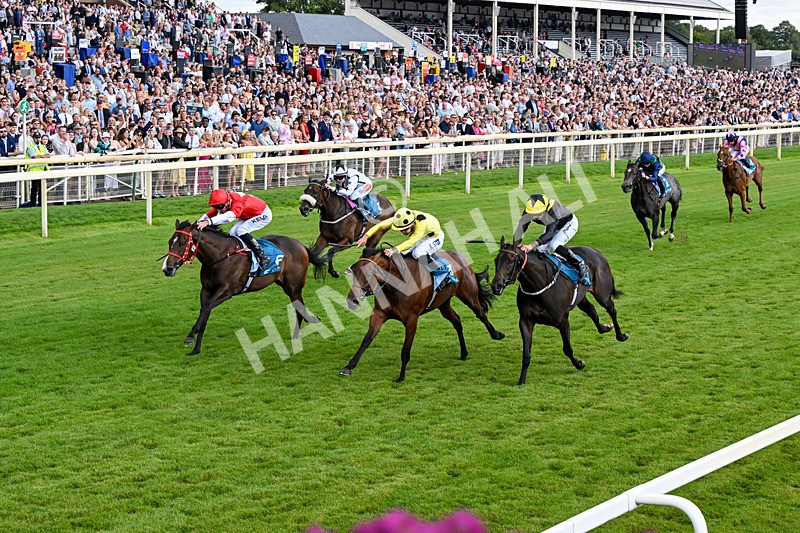 250726-Race 5-Rogue Jewel-1086 - Race 5 15.42pm Sky Bet Price Boosts EBF Fillies' Novice Stakes
