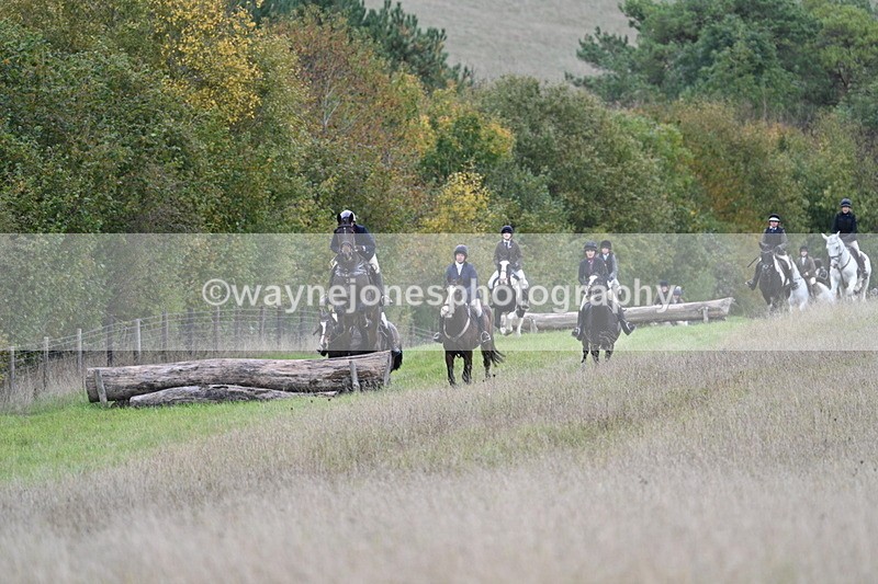 WJ7_3733 - Camera 1 Line 1