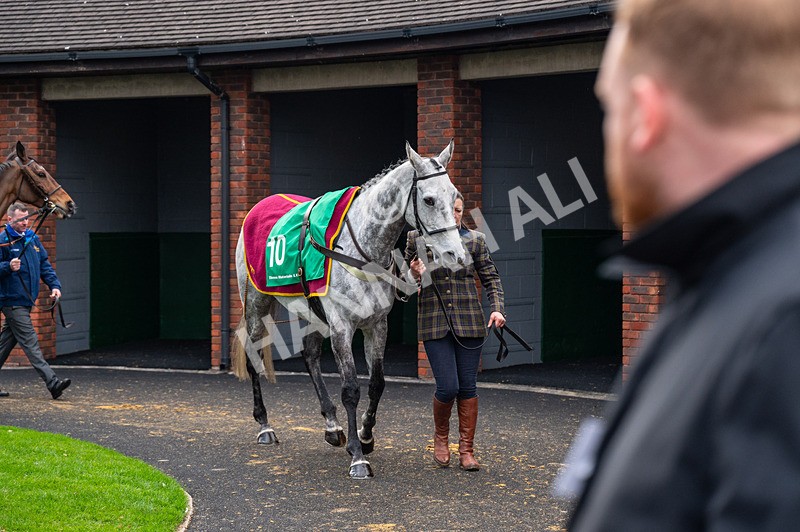 130325-Sine Nomine-WR-8719 - 13th March