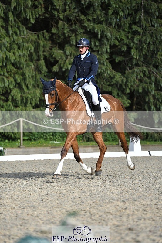 230525-175012-03612 - 131-FORTSIDE_COBRA-Freddie_Carden-WEDTrotUp+DR