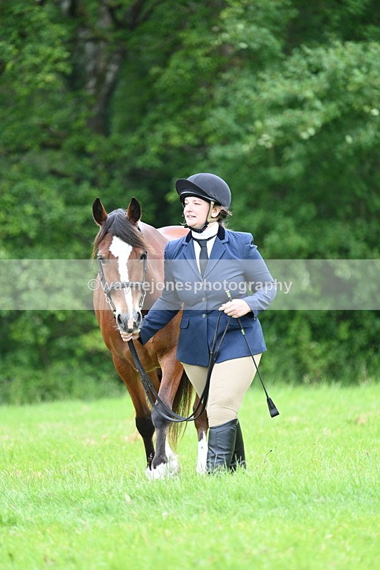 WJ7_4386 - Class 14B Prettiest Mare
