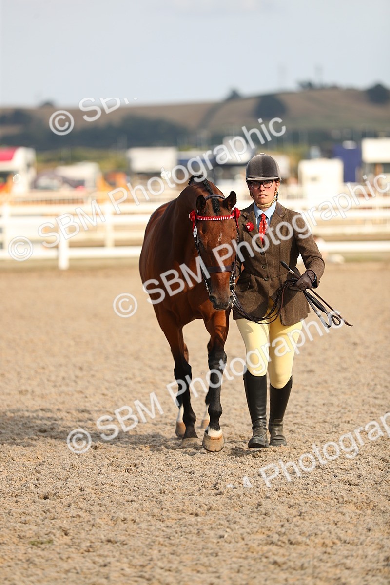 SBM_08637 - Class 28 - IH Veteran Horse