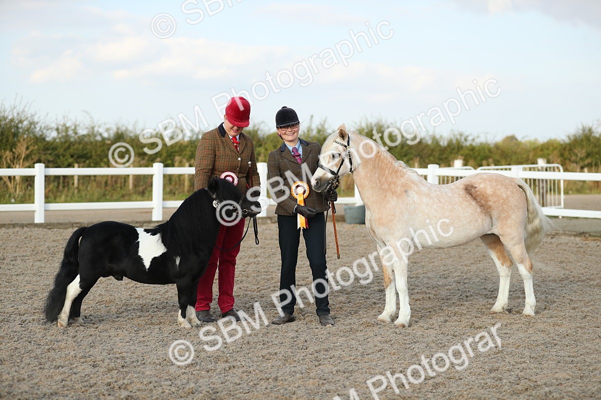 SBM_09137 - Class 29 IH Veteran Pony