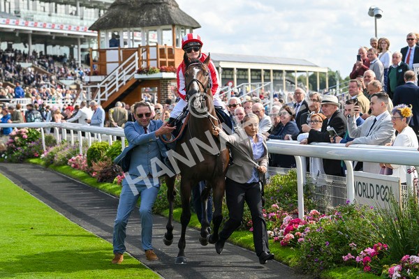 230824-Race 4-Bradsell-9329 - Race 4 3.35pm Coolmore Wootton Bassett Nunthorpe Stakes
