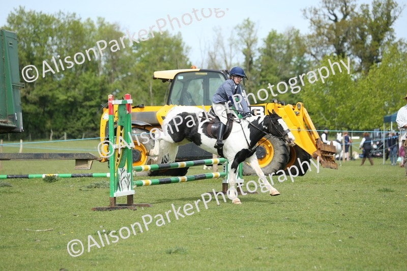 20260426-2054 - Class 15 - Absolute Novice 70cm