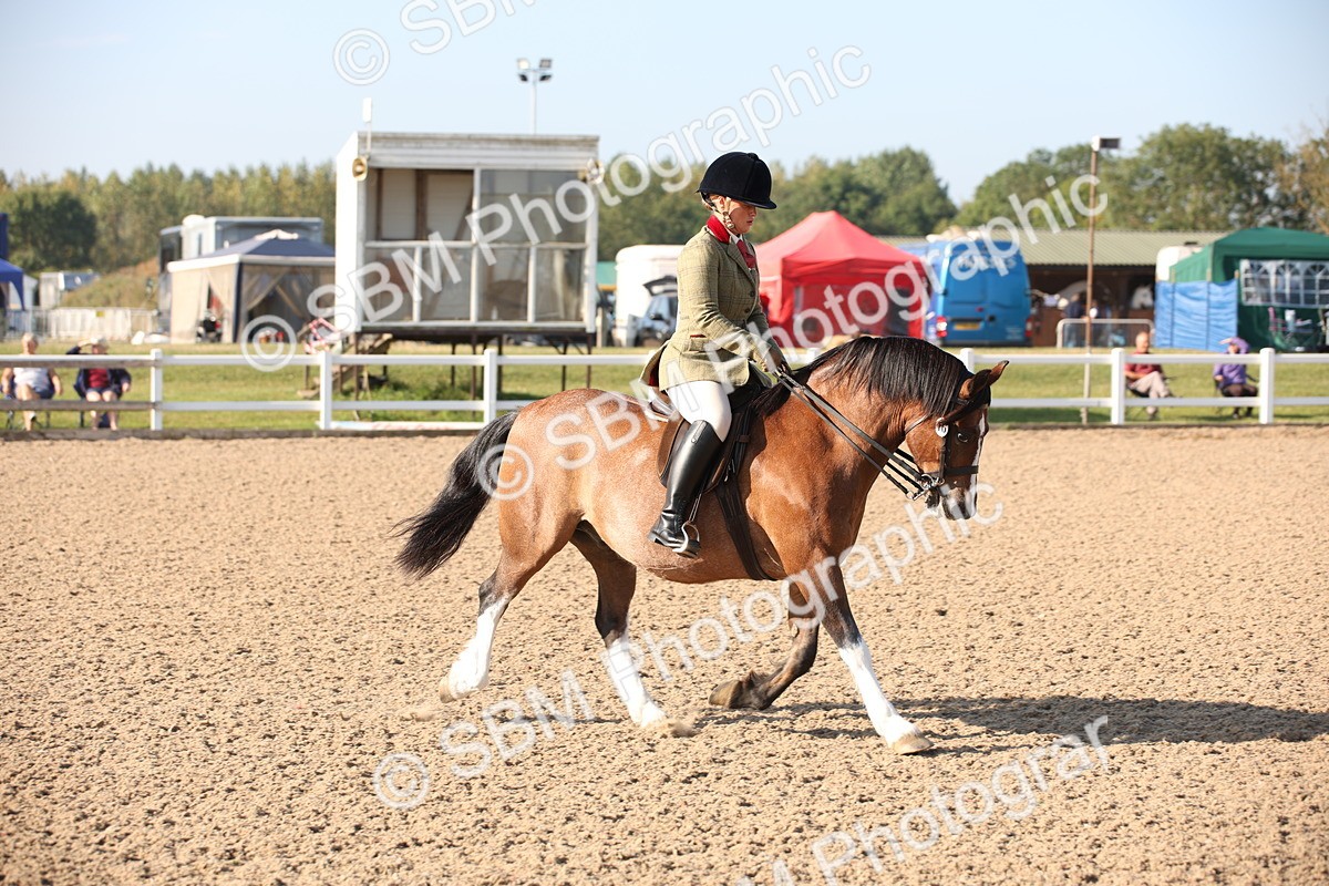 SBM_00648 - Class 14 Ridden M&M Wildcard