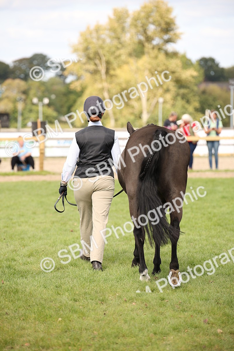 SBM_46360 - S25 - Mature Veteran In Hand