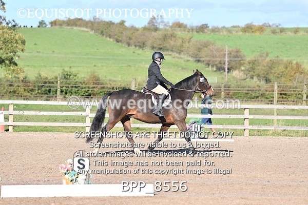 BPP_8556 - SHORT ARENA