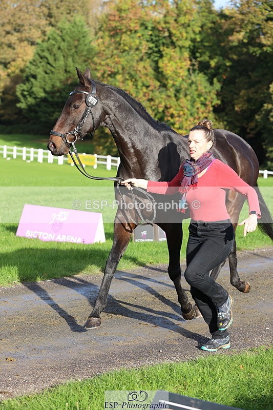 251026A-095531-22586 - D-306-Annabel.Mason